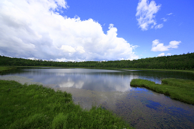 阿尔山天池全景 摄影 八哥小黑