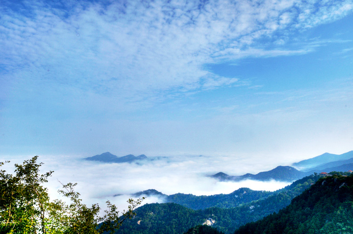 鸡公山风光 摄影 绿草地