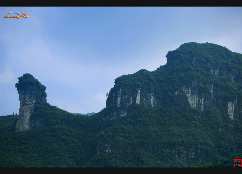 山地骆驼 摄影 仲沛