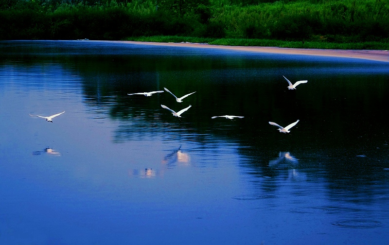 池塘小景 摄影 雏一飞