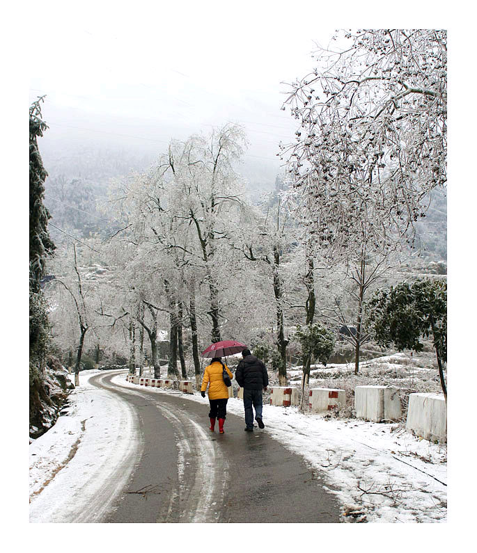 雪后的路 摄影 木加木