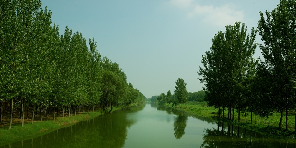 沿河观景·树1 摄影 景韵霞光