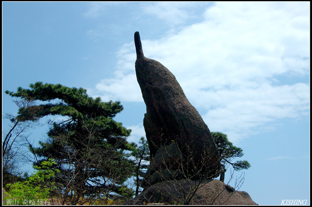 黃山行 71 摄影 老楊