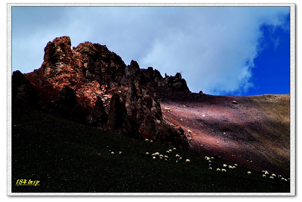 放牧-那根拉（5190m） 摄影 184ln