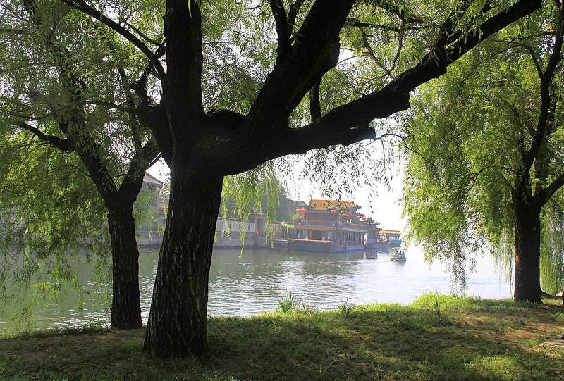 颐和园西堤及耕织图景区掠影（22）—树景（一） 摄影 TT1948