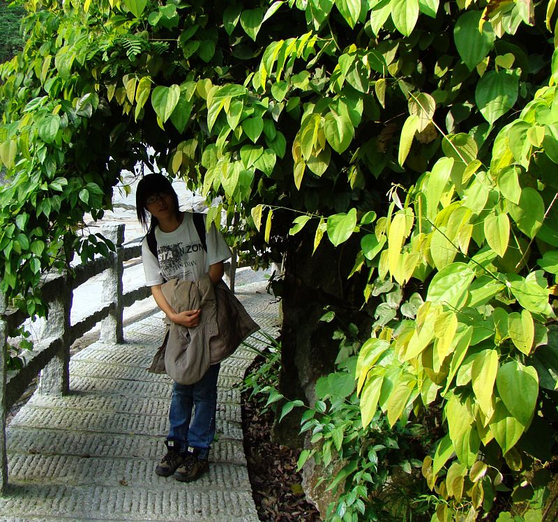 荫 摄影 繁花若如初见