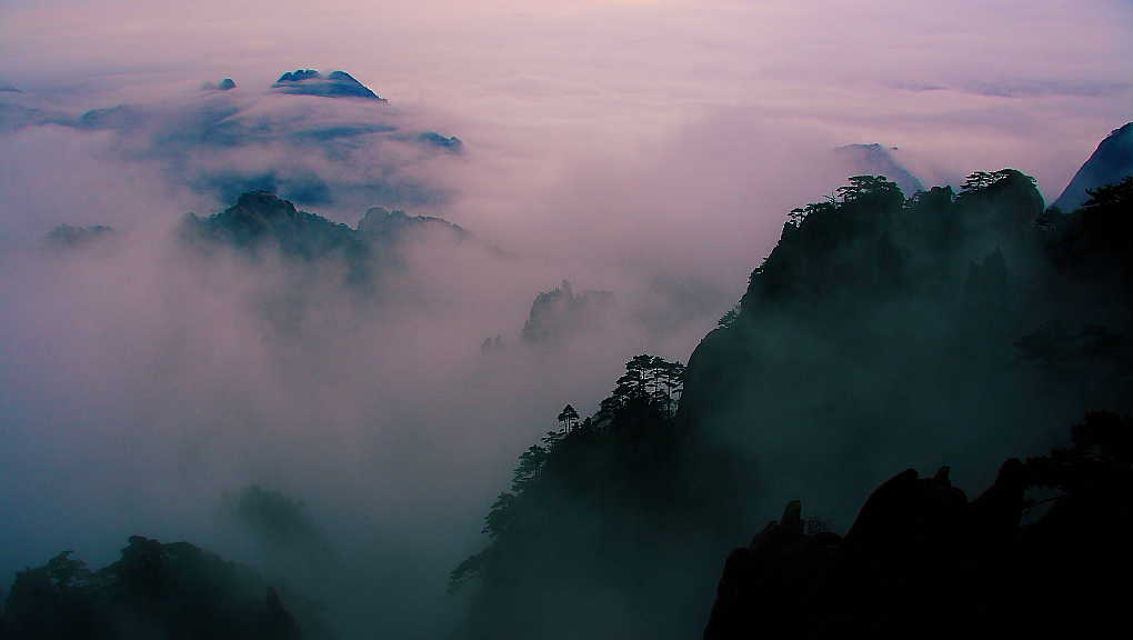 黄山之一 摄影 陈列