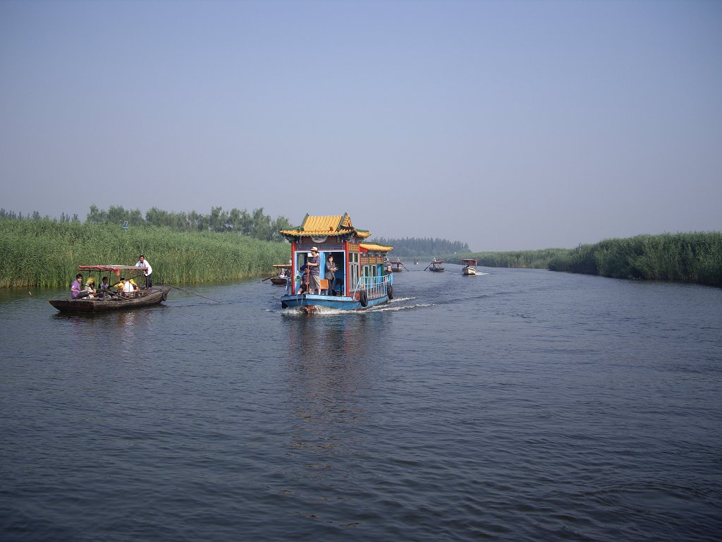 白洋淀一景 摄影 独山玉