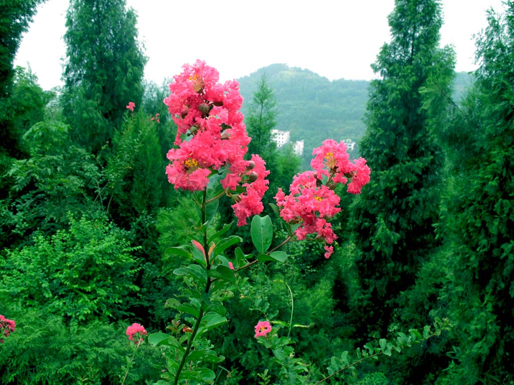 山川美景 摄影 凌骄