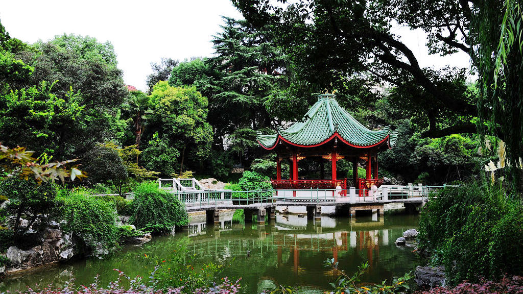 花园 小景 摄影 新手张