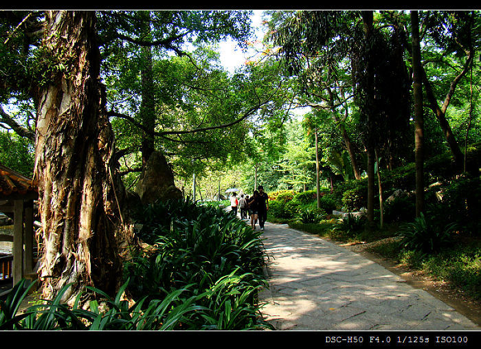 西湖风景 4 摄影 快乐之斿