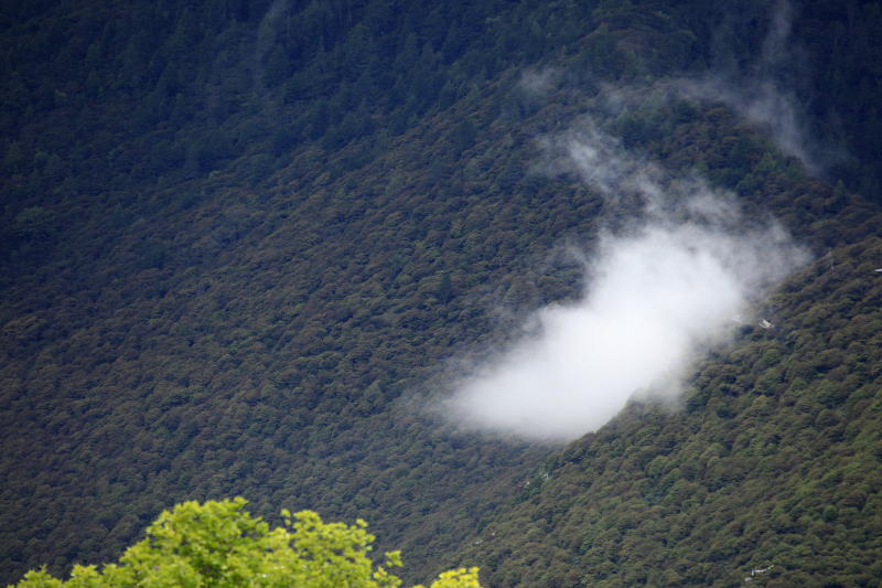 灵云薰山林 摄影 无限江山