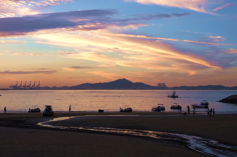 烟台海边 摄影 海带草