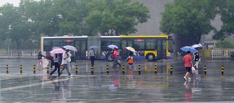 好雨 摄影 尖头慢鱼