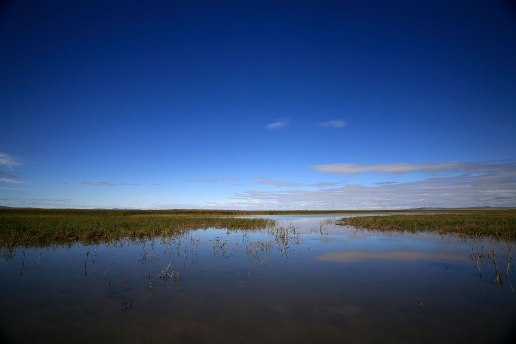 内蒙古大草原的湿地 摄影 监工2008