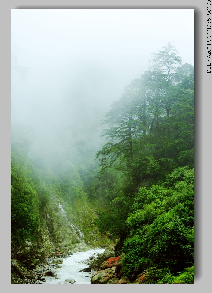 雾锁深山 摄影 天涯独行客