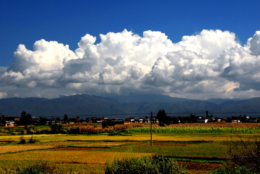 希望的田野 摄影 宝成铁路