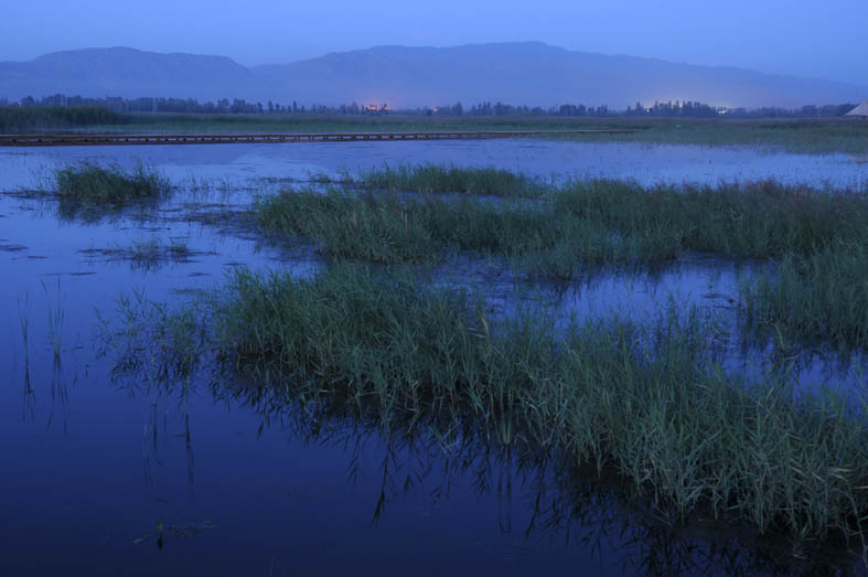 黑河湿地 摄影 weixianghua