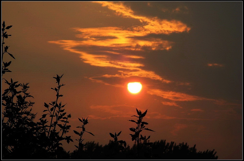 夕阳余辉 摄影 华绿