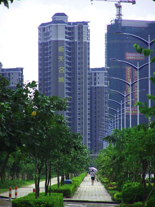 大亚湾街景 摄影 红岩上