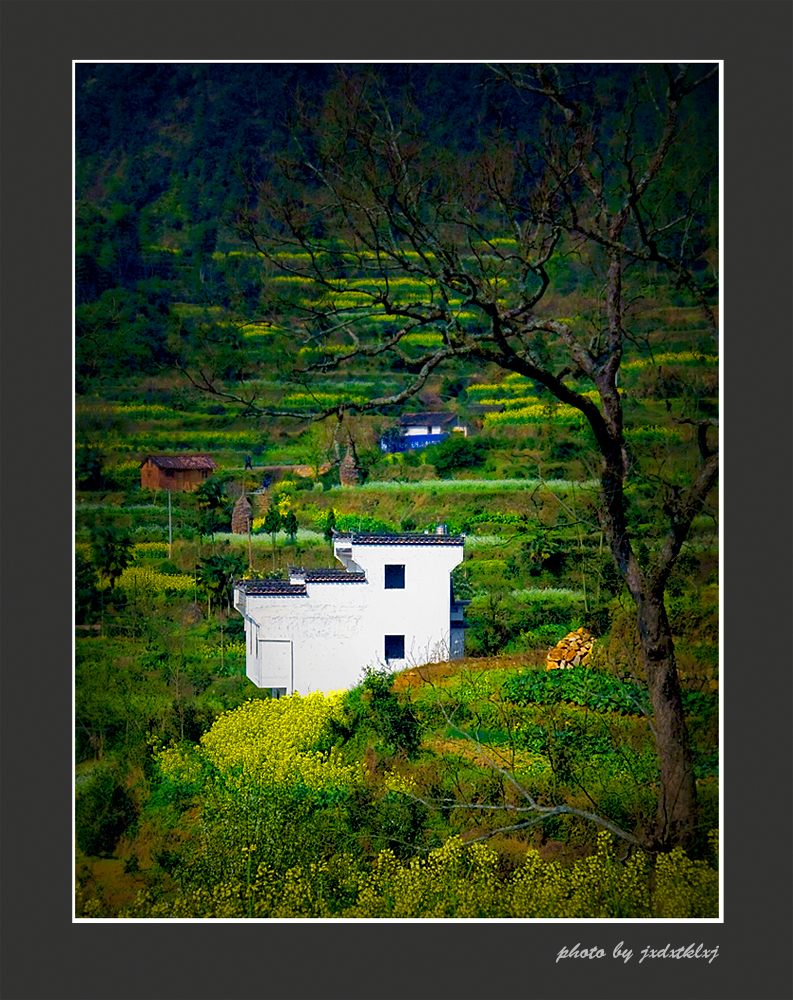 乡村一景 摄影 逐光掠影