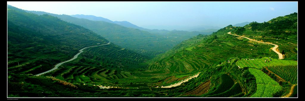 高山蔬菜生产基地——武义大来 摄影 baojh