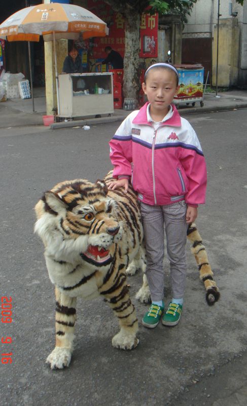 小学生 摄影 我为你而来