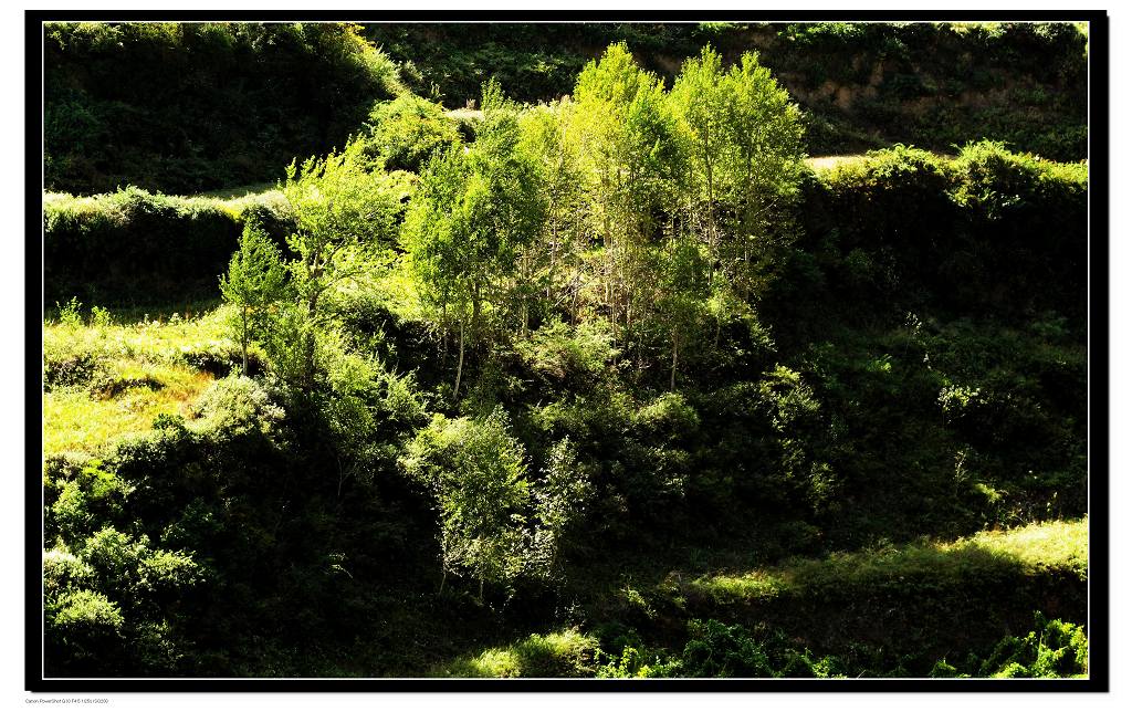 那道静美的风景 摄影 踏月而行