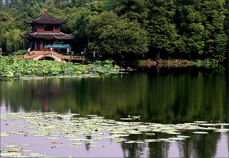 曲院 摄影 风卷云舒