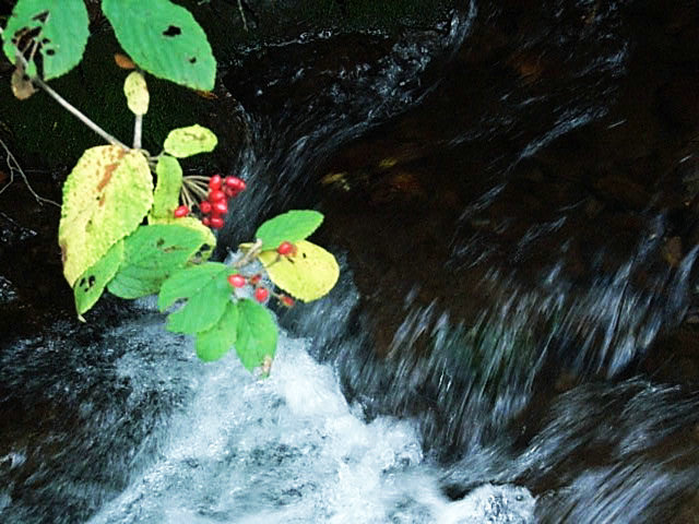 六盘山溪流 摄影 红日蓝天