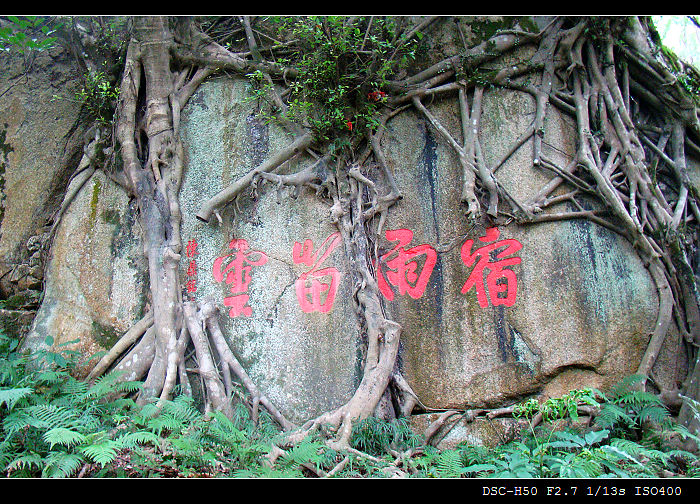 西湖风景 10 摄影 快乐之斿