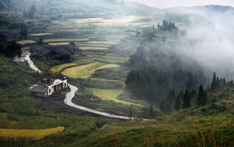 秋色山野 摄影 山谷之春