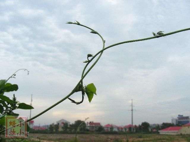 拥抱 摄影 小小蜡烛