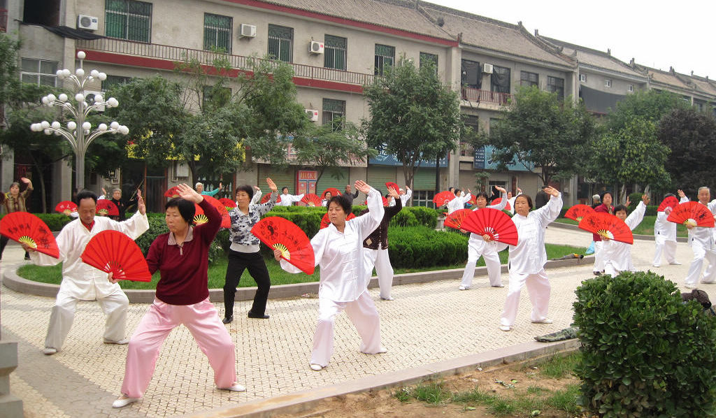太极扇老人 摄影 gongmf