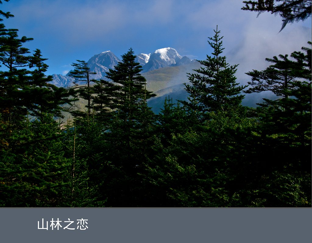 山林之恋 摄影 大草坝