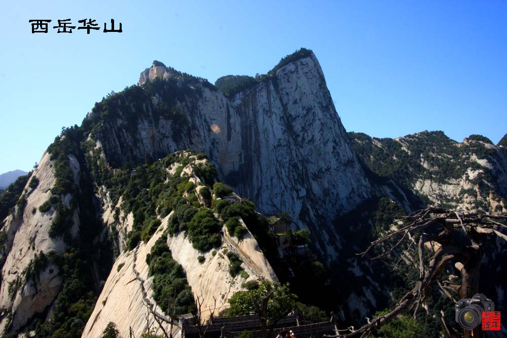 西岳华山 摄影 百年逍遥叟