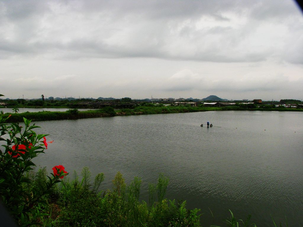 雨中的乡野 摄影 天使之吻