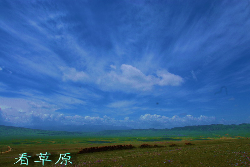 看草原 摄影 梦笔生辉