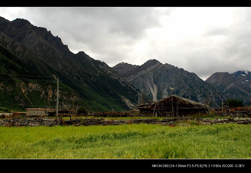 然乌湖畔 摄影 高山松