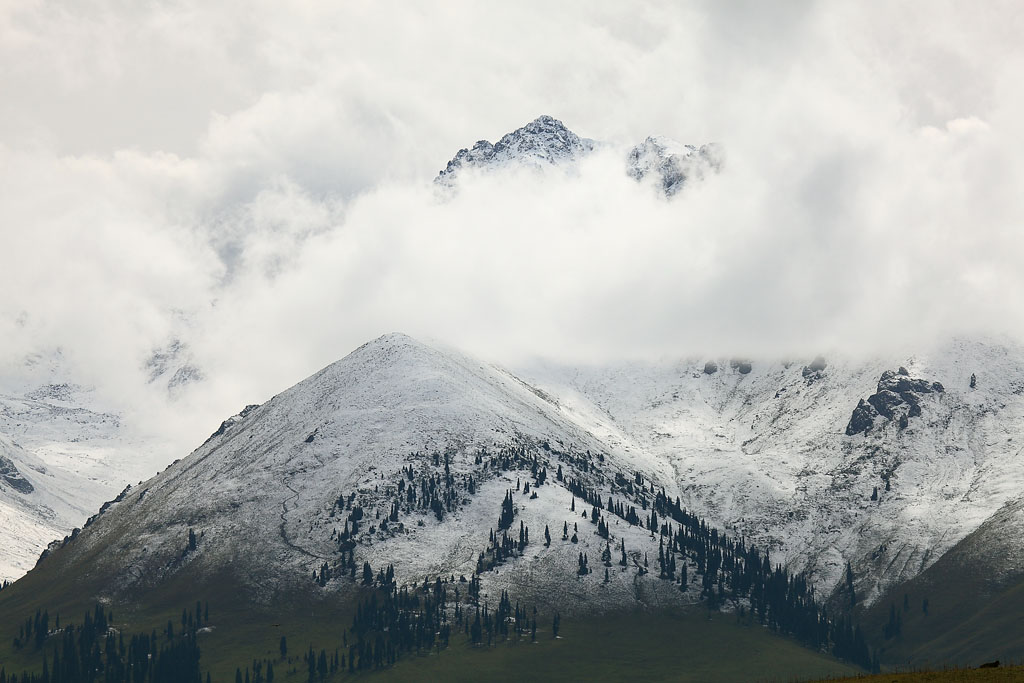 雪山牧场 摄影 姚顺