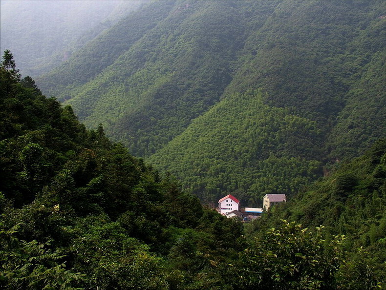 天目山---农家乐房屋 摄影 优美旺