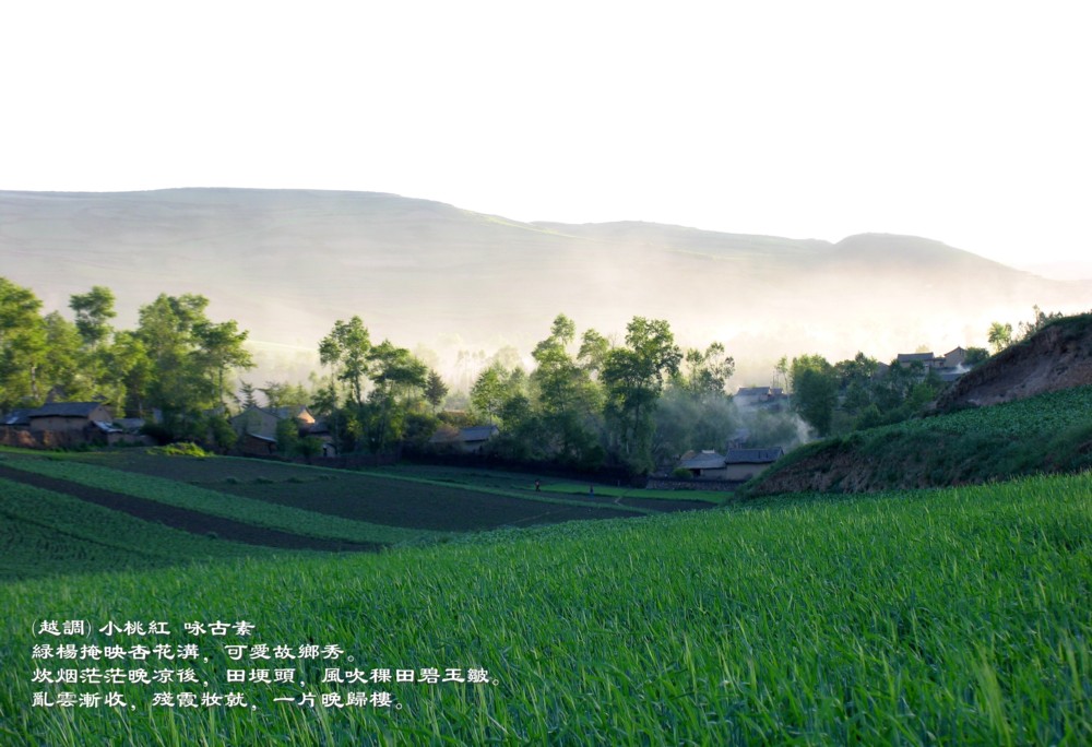 故乡初夏 摄影 锁龙山人