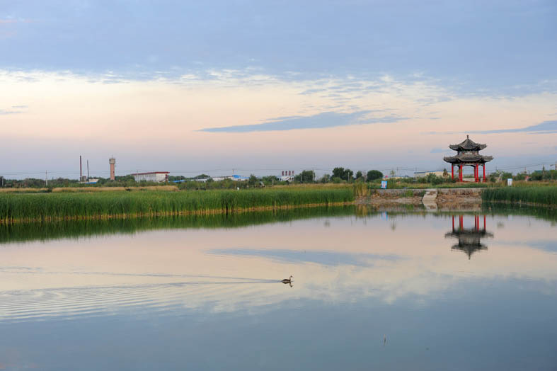 黑河湿地 摄影 weixianghua