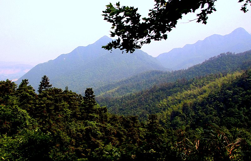 圣地芦山 摄影 影海叶舟