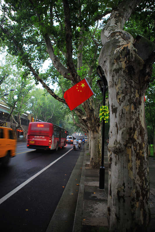 普天同庆 摄影 桂玉斋