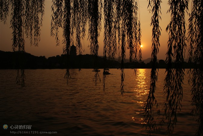 杨柳拂拂,夕阳美 摄影 风雨同心xq