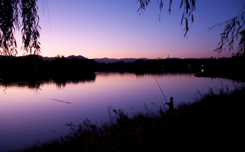 翠湖湿地 摄影 wanyiwan