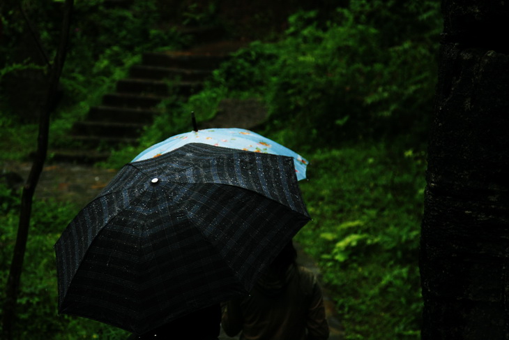 在雨中 摄影 鹤皇