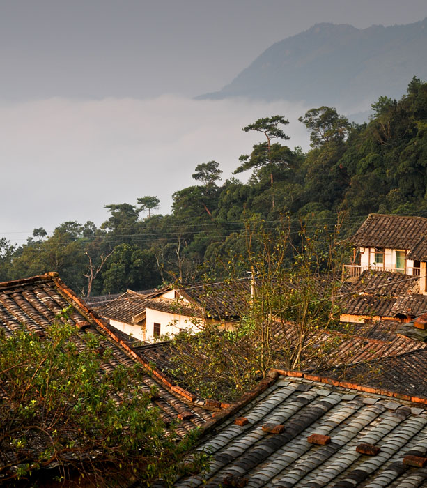 乡村的早晨 摄影 langaa