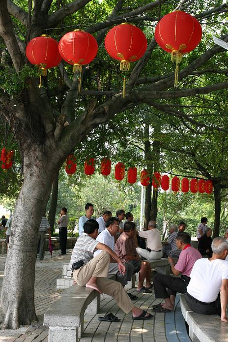 大树底下好乘凉1 摄影 陇上汉